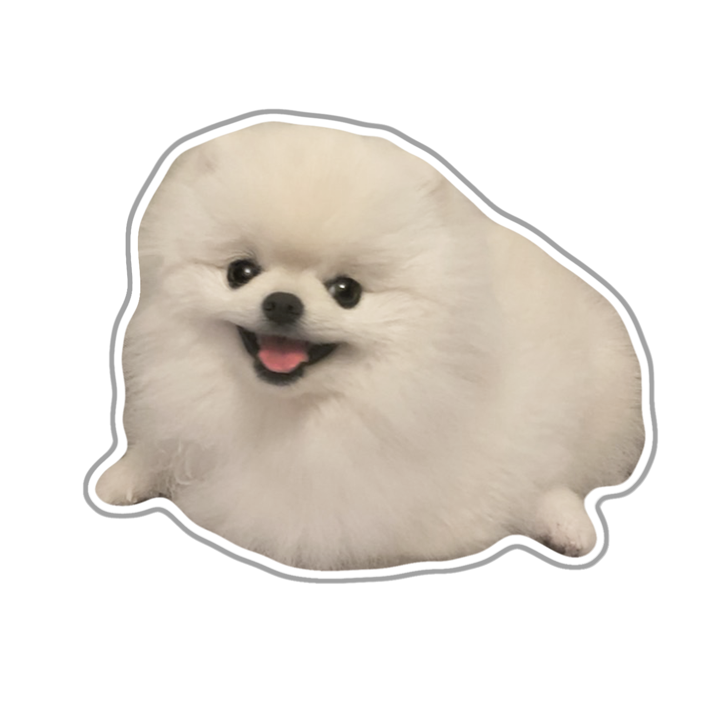 ワンちゃん