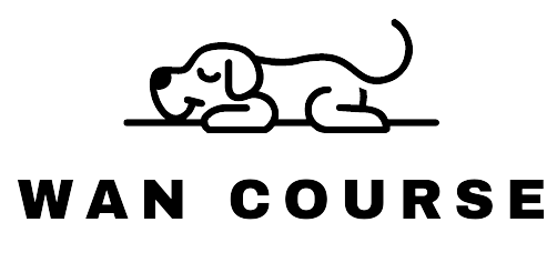 WAN COURSE