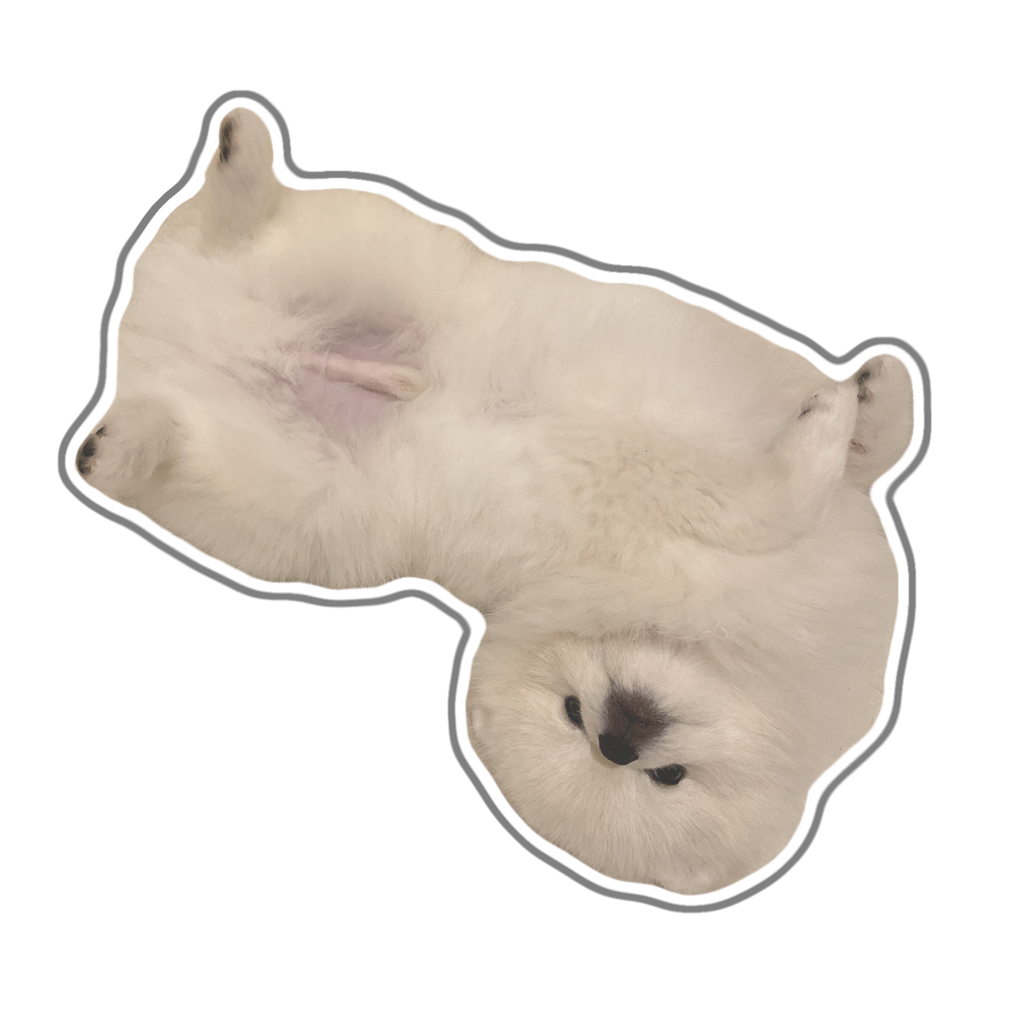 ワンちゃん